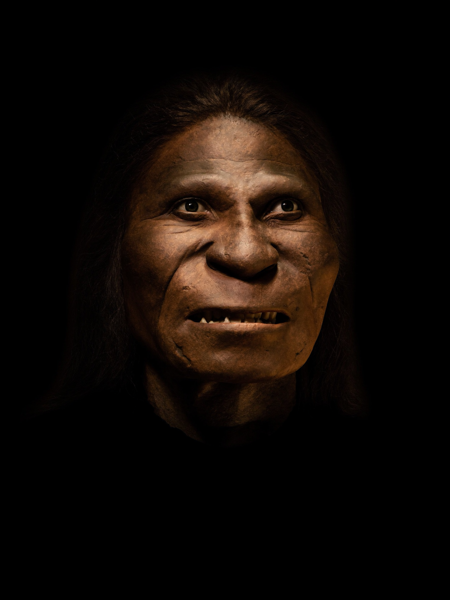 Denisova 3 — reconstruction