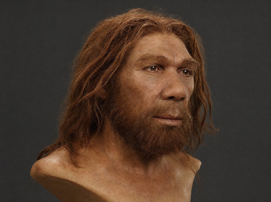 Vindija Neanderthal reconstruction