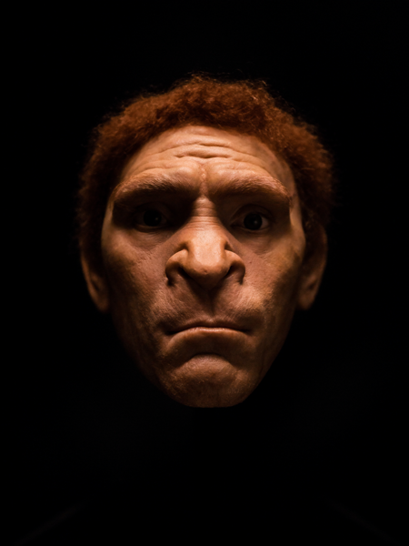 Vindija Neanderthal — reconstruction