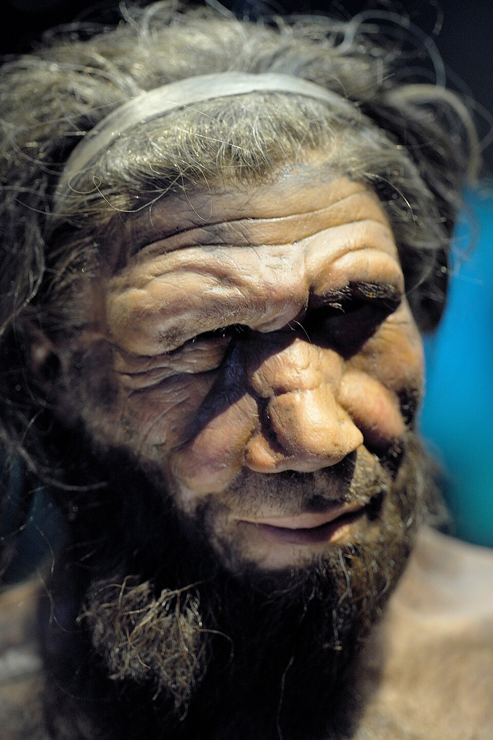 Altai Neanderthal — reconstruction